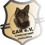 Chihuahua Gruppe