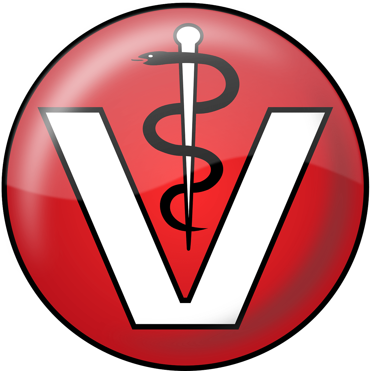 Veterinärmedizinische Bescheinigung