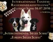 Dog Show Hundeschau 2016 CACIB Germany