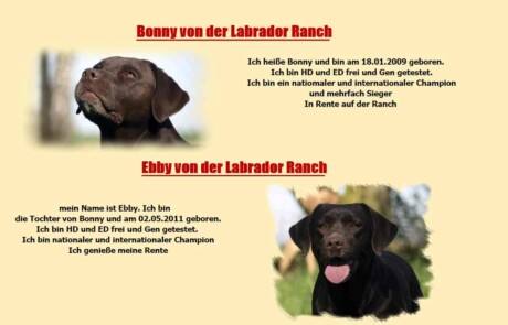 Labrador Ranch