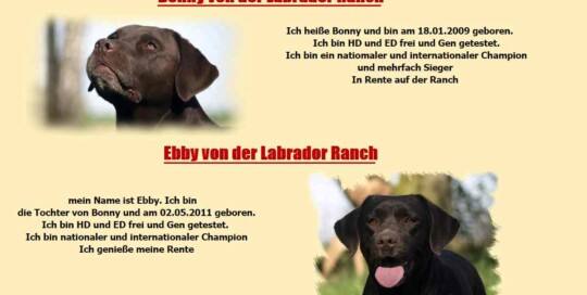 Labrador Ranch