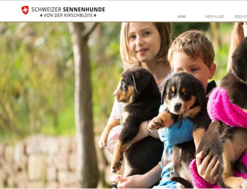 Schweizer Sennenhunde, Broholmer und Französische Bulldoggen von der Kirschblüte