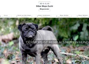 Mopsrevier züchtet Silbermöpse
