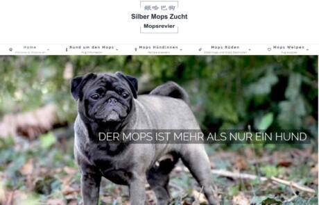 Mopsrevier züchtet Silbermöpse