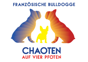 Französische Bulldoggen von den Chaoten auf vier Pfoten