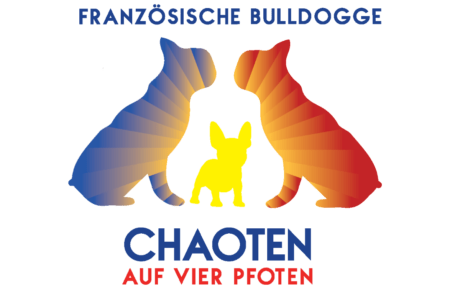 Französische Bulldoggen von den Chaoten auf vier Pfoten