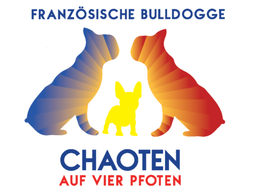 Französische Bulldoggen von den Chaoten auf vier Pfoten