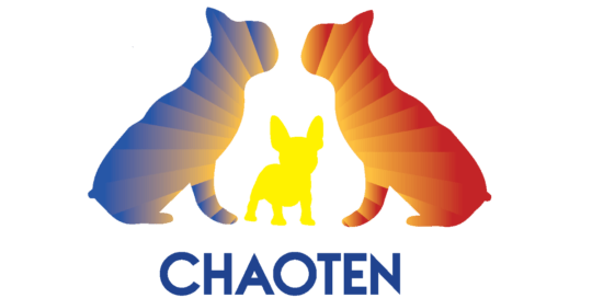 Französische Bulldoggen von den Chaoten auf vier Pfoten