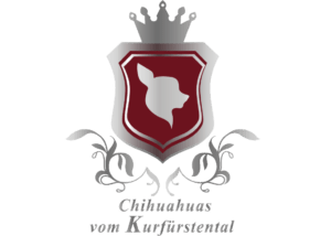 Chihuahuas vom Kurfuerstental