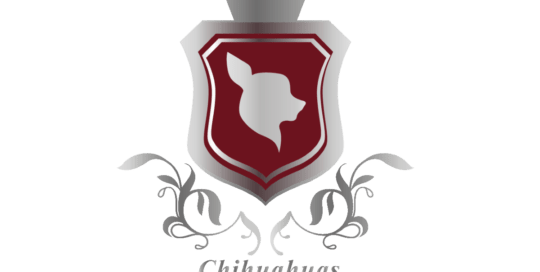 Chihuahuas vom Kurfuerstental
