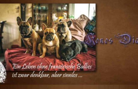 Französische Bulldoggen Konos Diamonds
