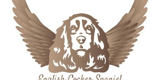 Logo-Gold-von-Heavenly-Angels
