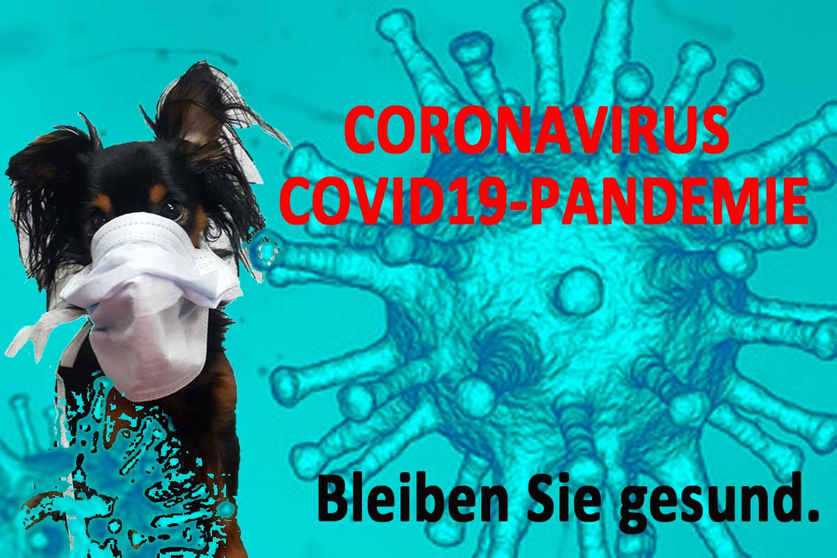ACI Informiert: Coronavirus COVID-19 Informationen