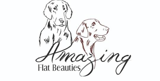 Amazing Flat Beauties ~ LOVE & PASSION