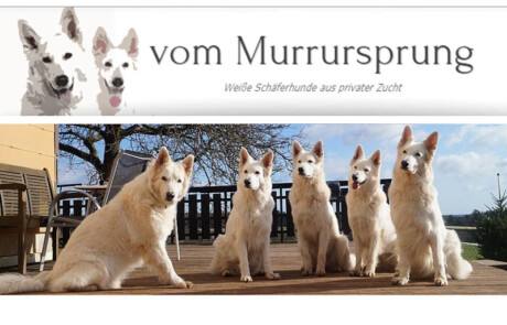Zuchtstätte für Weiße Schweizer Schäferhunde