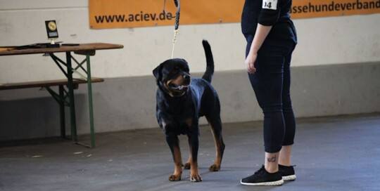 Welt-Sieger-German-Champion-20180909_11